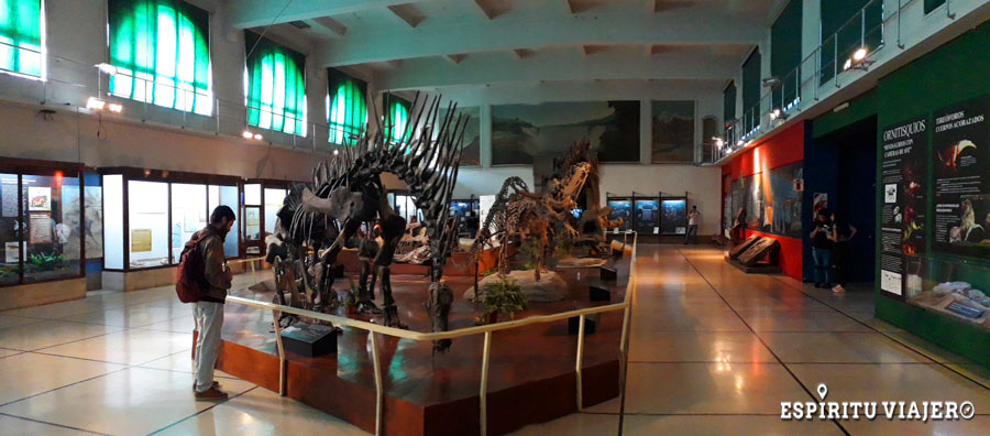 https://mdw-travel-data-us-east-1.s3.amazonaws.com/img/country/Argentina/Museo-Municipal-de-Ciencias-Naturales/img_01.jpg