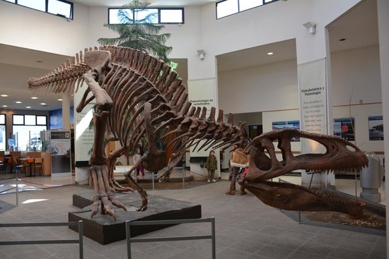 https://mdw-travel-data-us-east-1.s3.amazonaws.com/img/country/Argentina/Museo-Paleontologico-Egidio-Feruglio/img_00.jpg