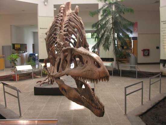 https://mdw-travel-data-us-east-1.s3.amazonaws.com/img/country/Argentina/Museo-de-Arte-Egidio-Feruglio/img_02.jpg