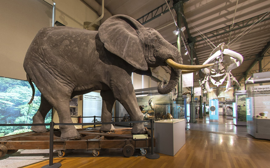 https://mdw-travel-data-us-east-1.s3.amazonaws.com/img/country/Argentina/Museo-de-Ciencias-Naturales/img_01.jpg