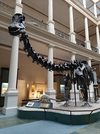 https://mdw-travel-data-us-east-1.s3.amazonaws.com/img/country/Argentina/Museo-de-La-Plata/img_02.jpg