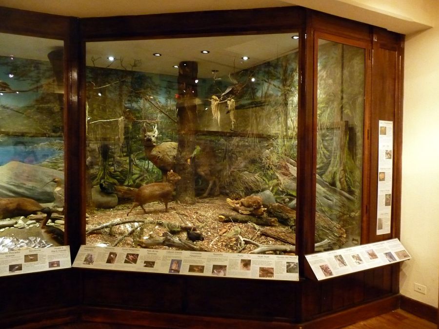 https://mdw-travel-data-us-east-1.s3.amazonaws.com/img/country/Argentina/Museo-de-la-Patagonia/img_02.jpg