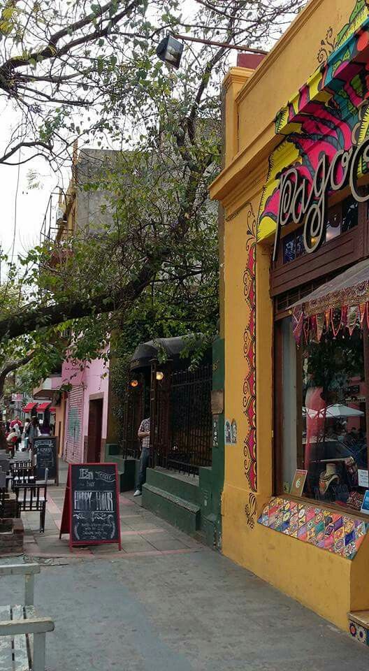 https://mdw-travel-data-us-east-1.s3.amazonaws.com/img/country/Argentina/Palermo-Soho/img_02.jpg