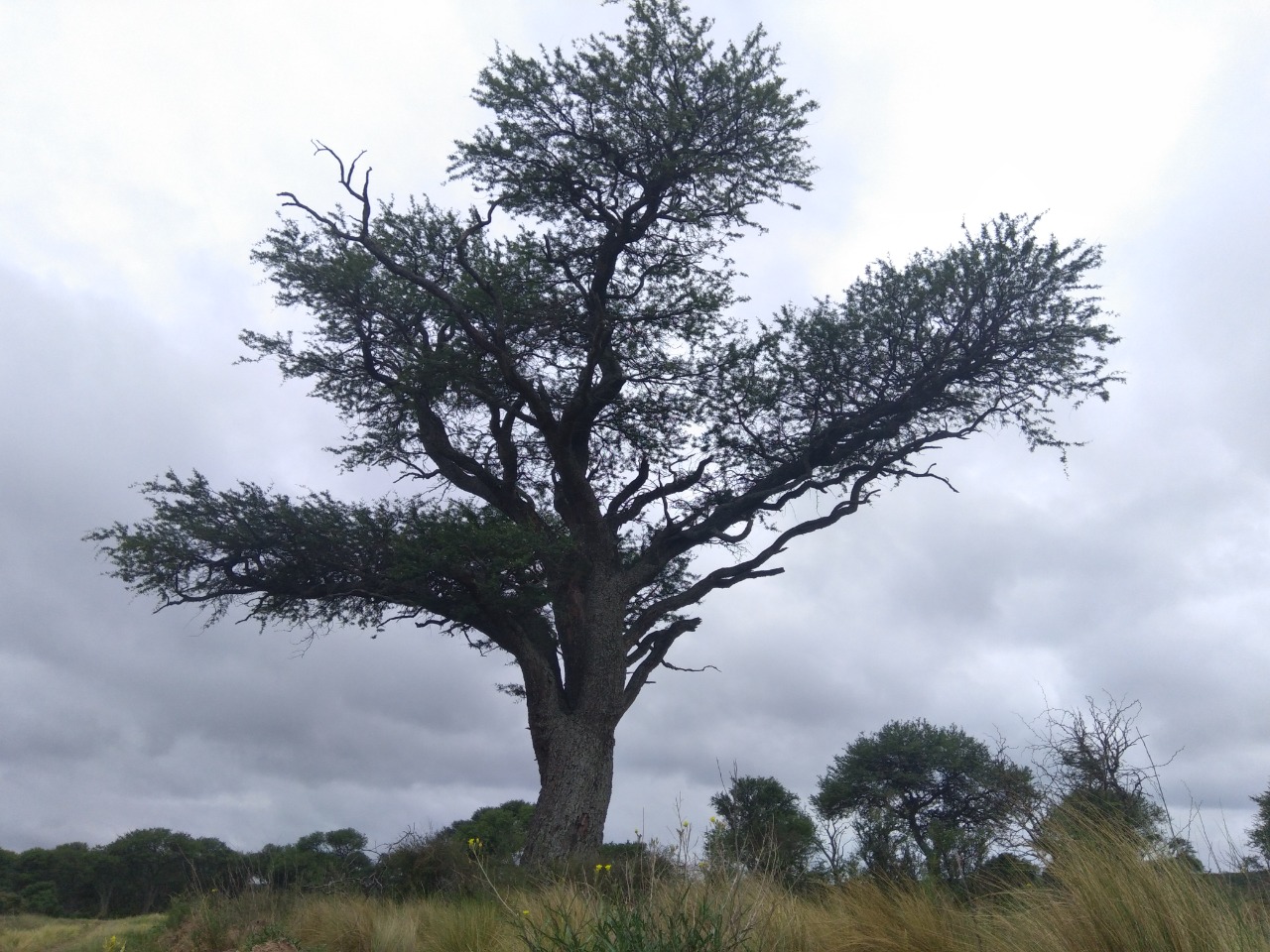 https://mdw-travel-data-us-east-1.s3.amazonaws.com/img/country/Argentina/Parque-Luro-Provincial-Reserve/img_03.jpg