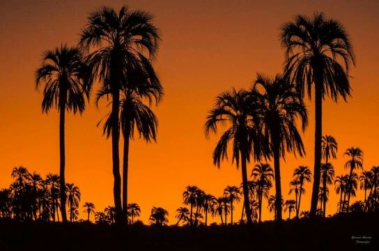 https://mdw-travel-data-us-east-1.s3.amazonaws.com/img/country/Argentina/Parque-Nacional-El-Palmar/img_05.jpg