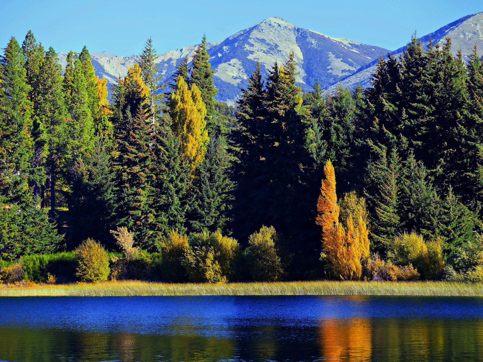 https://mdw-travel-data-us-east-1.s3.amazonaws.com/img/country/Argentina/Parque-Nacional-Nahuel-Huapi/img_03.jpg