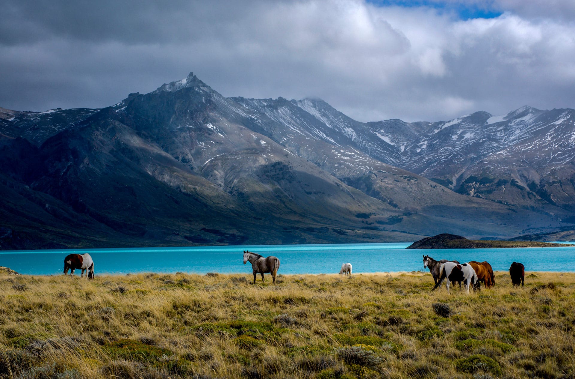 https://mdw-travel-data-us-east-1.s3.amazonaws.com/img/country/Argentina/Parque-Nacional-Perito-Moreno/img_03.jpg