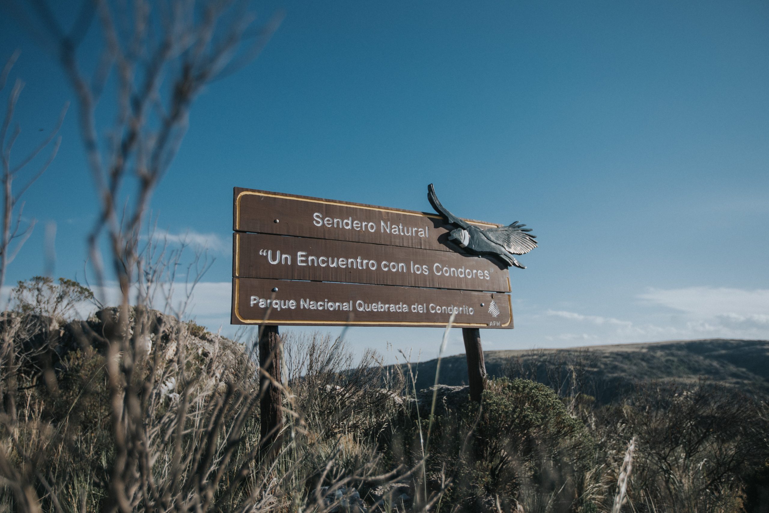 https://mdw-travel-data-us-east-1.s3.amazonaws.com/img/country/Argentina/Parque-Nacional-Quebrada-del-Condorito/img_02.jpg