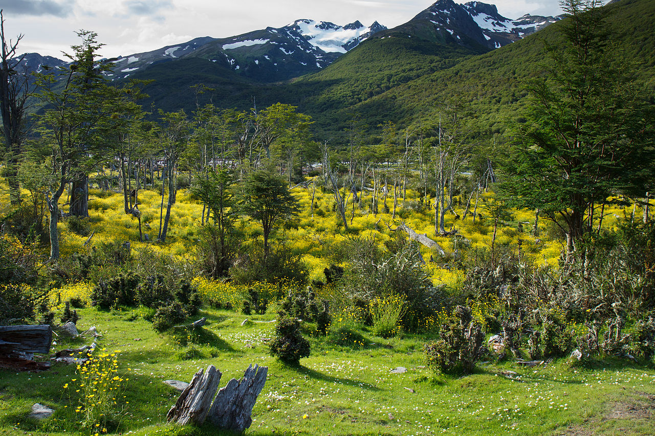 https://mdw-travel-data-us-east-1.s3.amazonaws.com/img/country/Argentina/Parque-Nacional-Tierra-del-Fuego/img_02.jpg