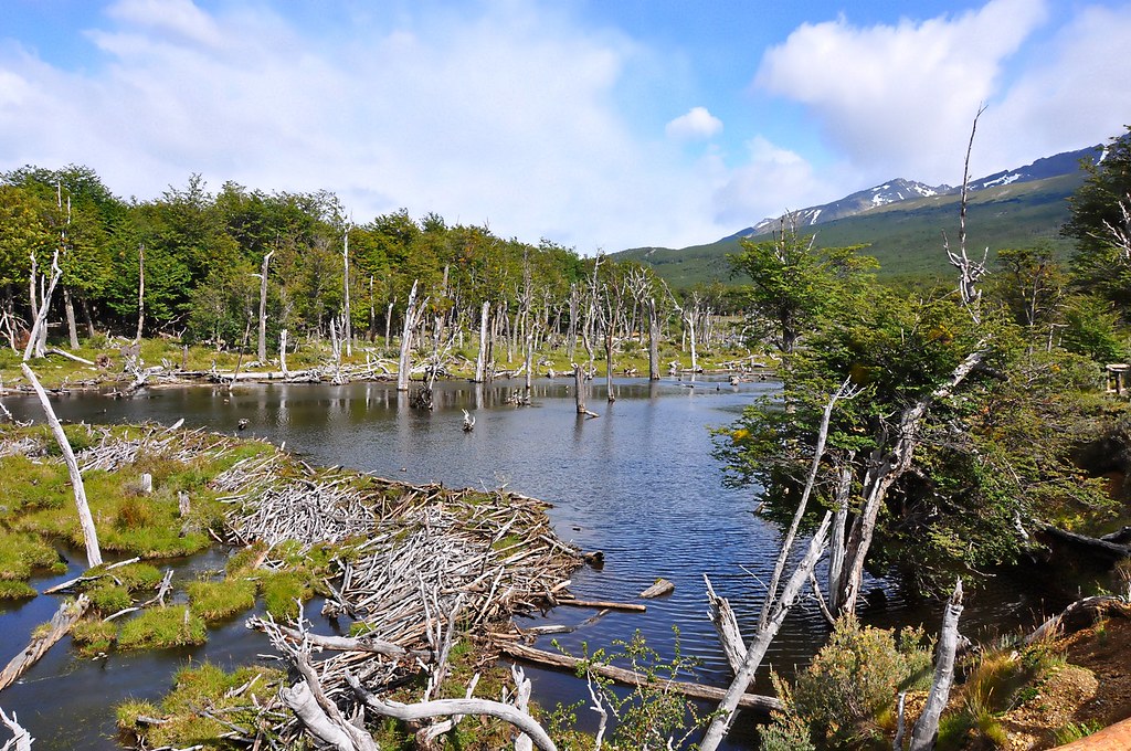 https://mdw-travel-data-us-east-1.s3.amazonaws.com/img/country/Argentina/Parque-Nacional-Tierra-del-Fuego/img_05.jpg