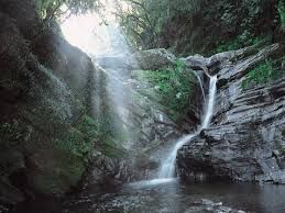 https://mdw-travel-data-us-east-1.s3.amazonaws.com/img/country/Argentina/Parque-Sierra-de-San-Javier/img_03.jpg