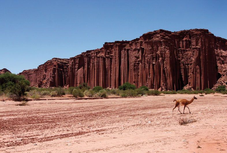 https://mdw-travel-data-us-east-1.s3.amazonaws.com/img/country/Argentina/Parque-de-la-Agricultura/img_02.jpg