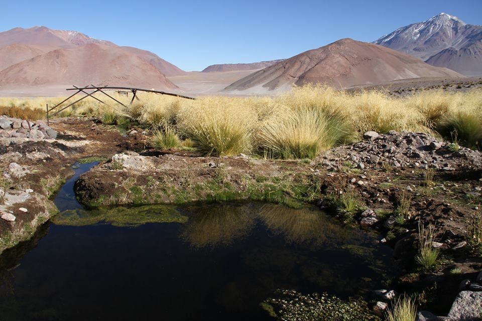 https://mdw-travel-data-us-east-1.s3.amazonaws.com/img/country/Argentina/Puna/img_04.jpg