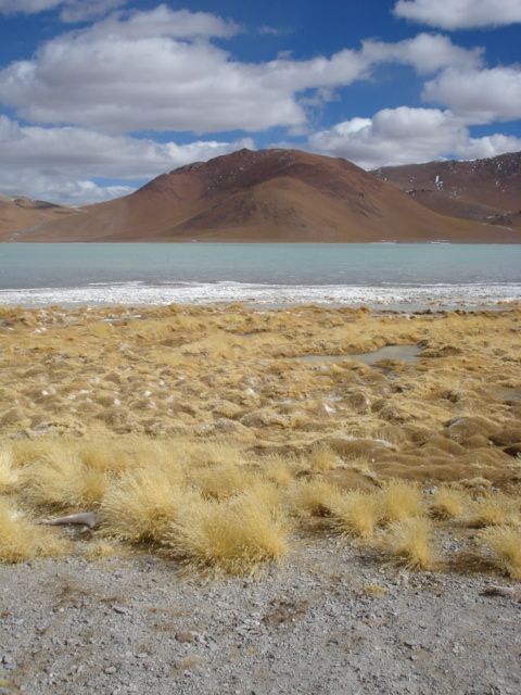 https://mdw-travel-data-us-east-1.s3.amazonaws.com/img/country/Argentina/Puna/img_05.jpg