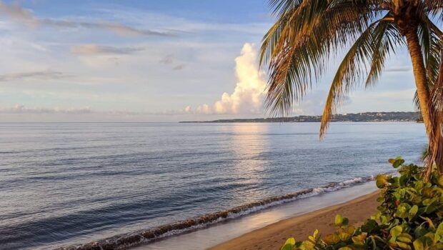 https://mdw-travel-data-us-east-1.s3.amazonaws.com/img/country/Argentina/Reserva-Natural-La-Aguada/img_03.jpg