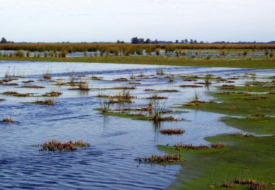 https://mdw-travel-data-us-east-1.s3.amazonaws.com/img/country/Argentina/Reserva-Natural-Otamendi/img_04.jpg