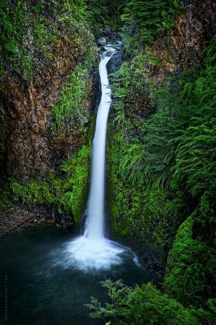https://mdw-travel-data-us-east-1.s3.amazonaws.com/img/country/Argentina/Rio-Bonito-Waterfall/img_01.jpg