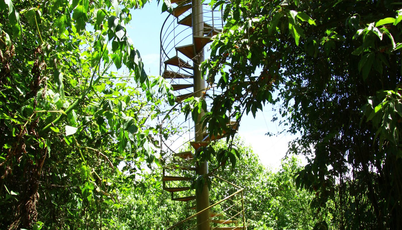 https://mdw-travel-data-us-east-1.s3.amazonaws.com/img/country/Argentina/Rio-Loro-Natural-Reserve/img_03.jpg
