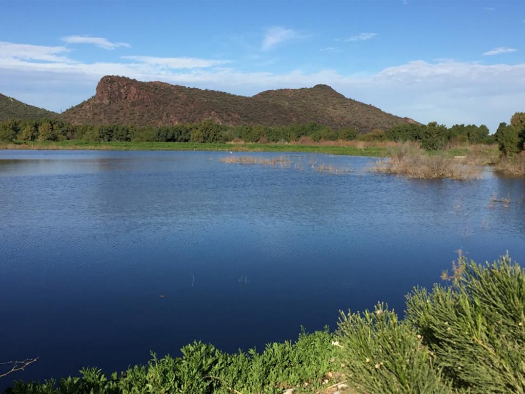 https://mdw-travel-data-us-east-1.s3.amazonaws.com/img/country/Argentina/Rio-Loro-Natural-Reserve/img_04.jpg