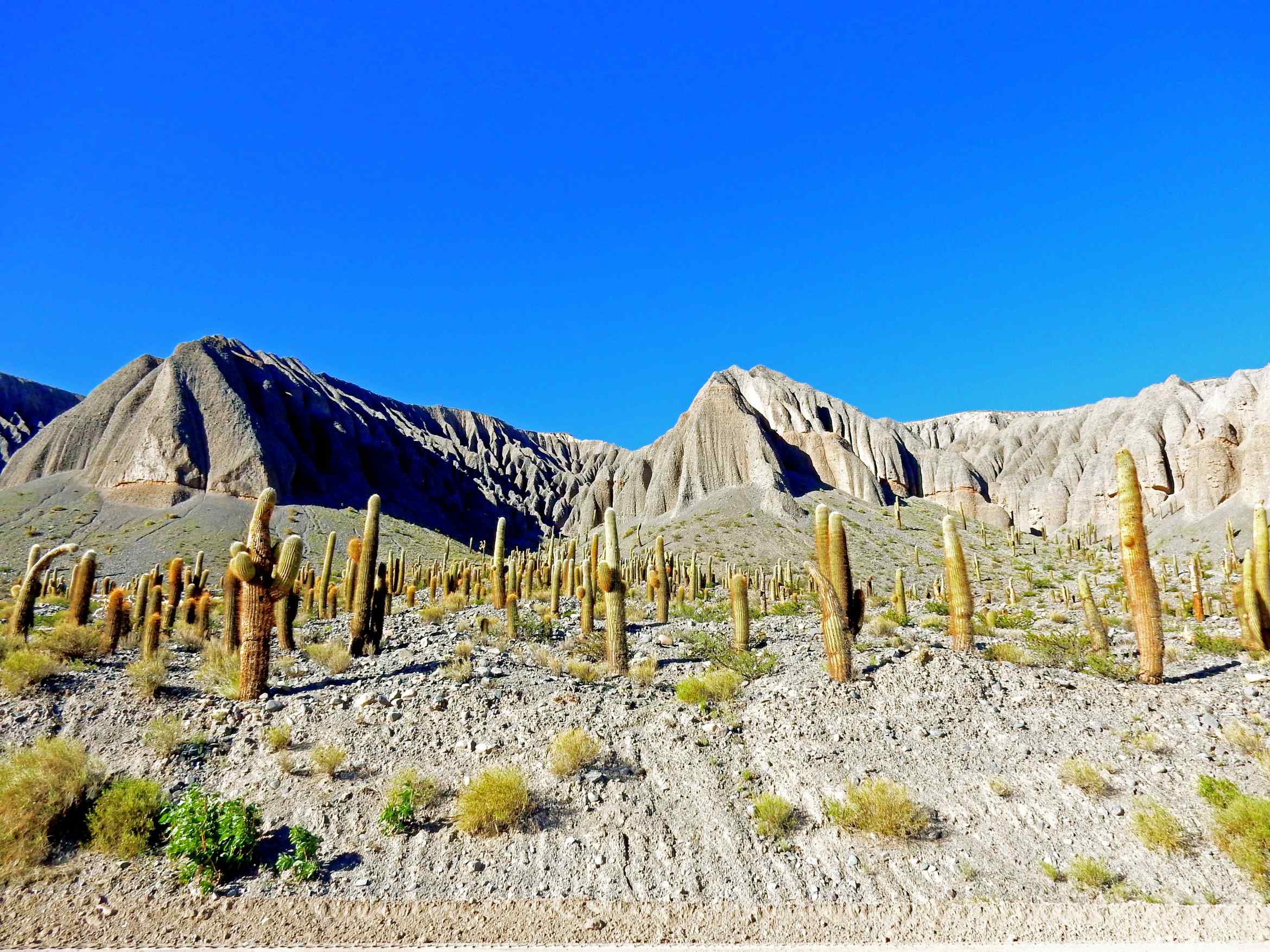https://mdw-travel-data-us-east-1.s3.amazonaws.com/img/country/Argentina/San-Antonio-de-los-Cobres/img_02.jpg