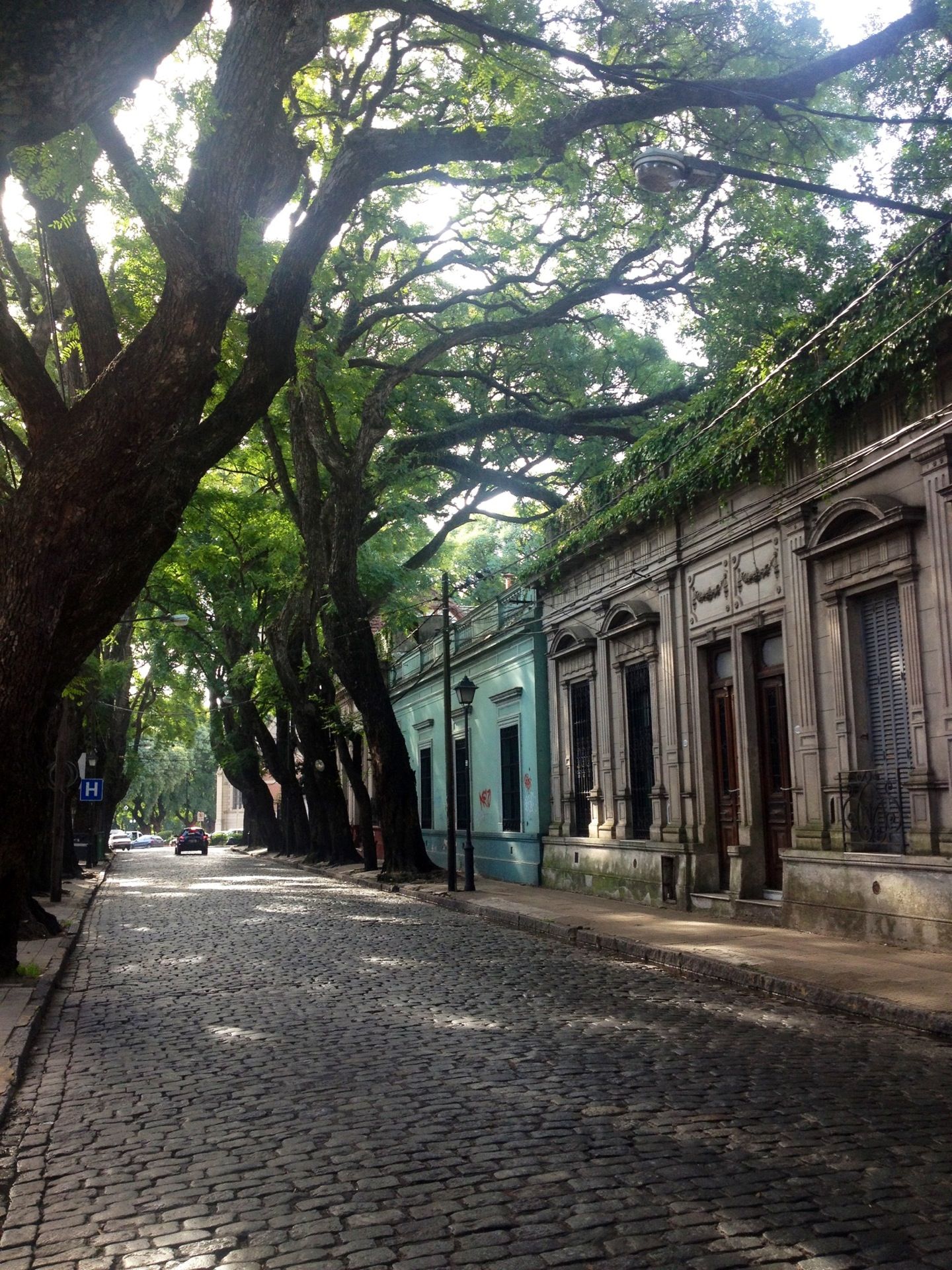 https://mdw-travel-data-us-east-1.s3.amazonaws.com/img/country/Argentina/San-Isidro/img_00.jpg