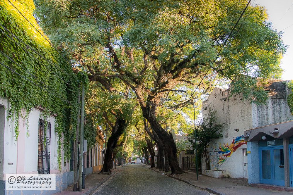 https://mdw-travel-data-us-east-1.s3.amazonaws.com/img/country/Argentina/San-Isidro/img_01.jpg