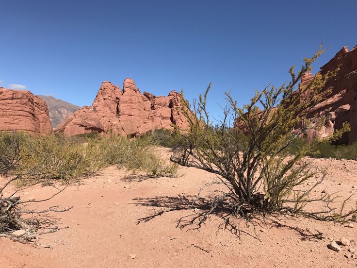 https://mdw-travel-data-us-east-1.s3.amazonaws.com/img/country/Argentina/Sierra-Colorada/img_04.jpg