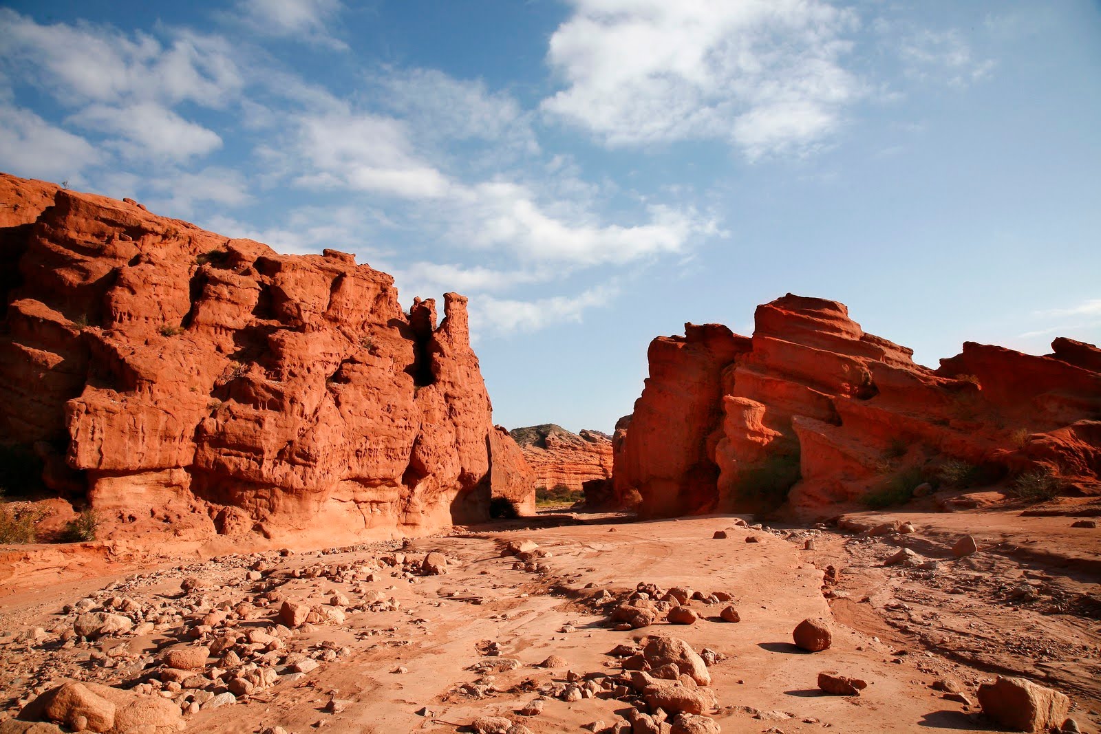 https://mdw-travel-data-us-east-1.s3.amazonaws.com/img/country/Argentina/Tierra-de-los-Yacarees/img_03.jpg