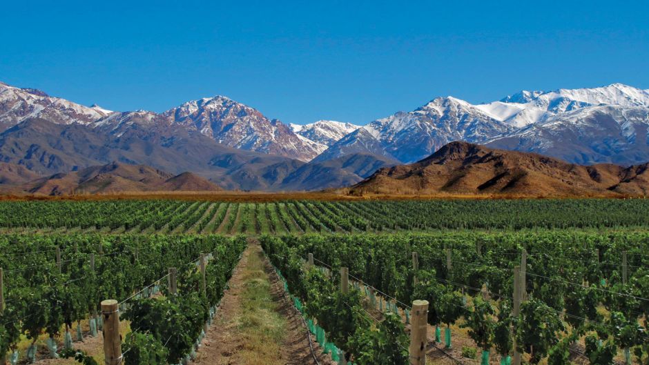 https://mdw-travel-data-us-east-1.s3.amazonaws.com/img/country/Argentina/Uco-Valley/img_00.jpg