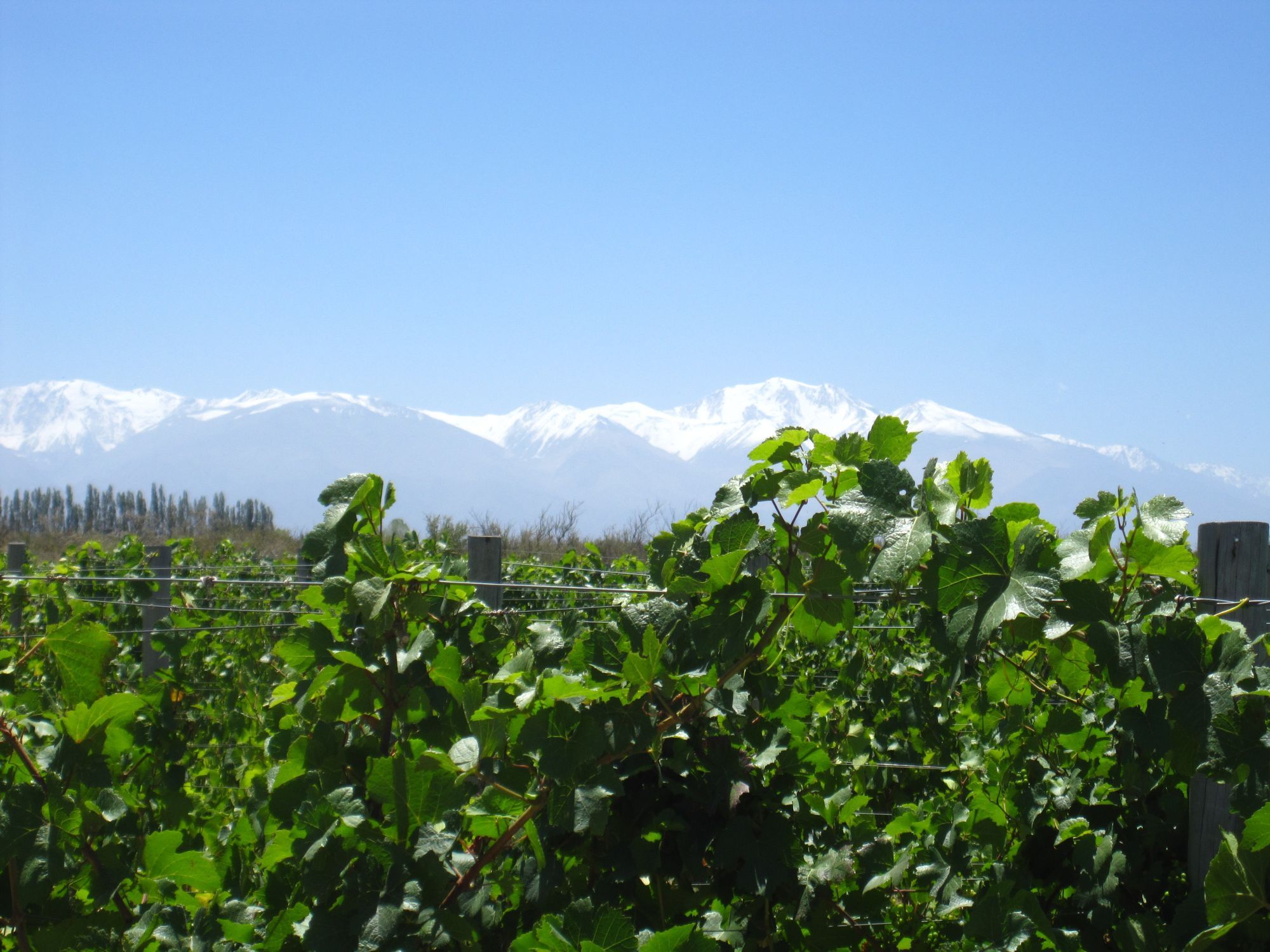 https://mdw-travel-data-us-east-1.s3.amazonaws.com/img/country/Argentina/Uco-Valley/img_03.jpg