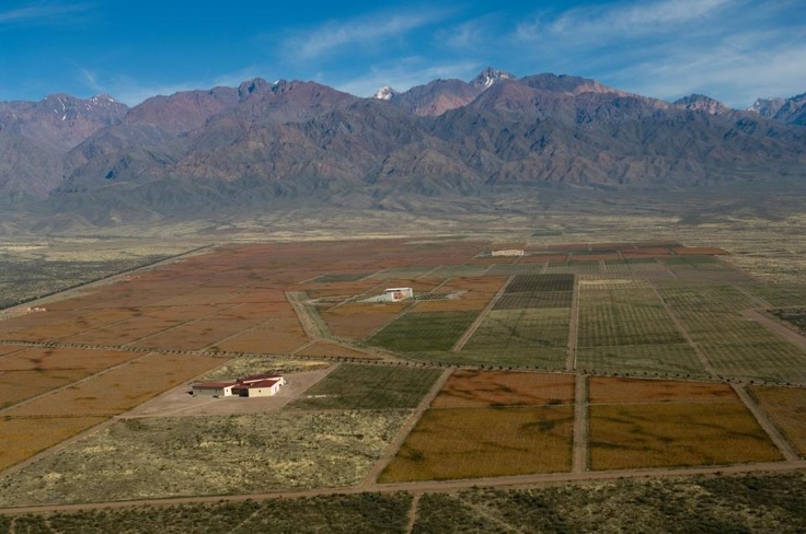 https://mdw-travel-data-us-east-1.s3.amazonaws.com/img/country/Argentina/Uco-Valley/img_04.jpg