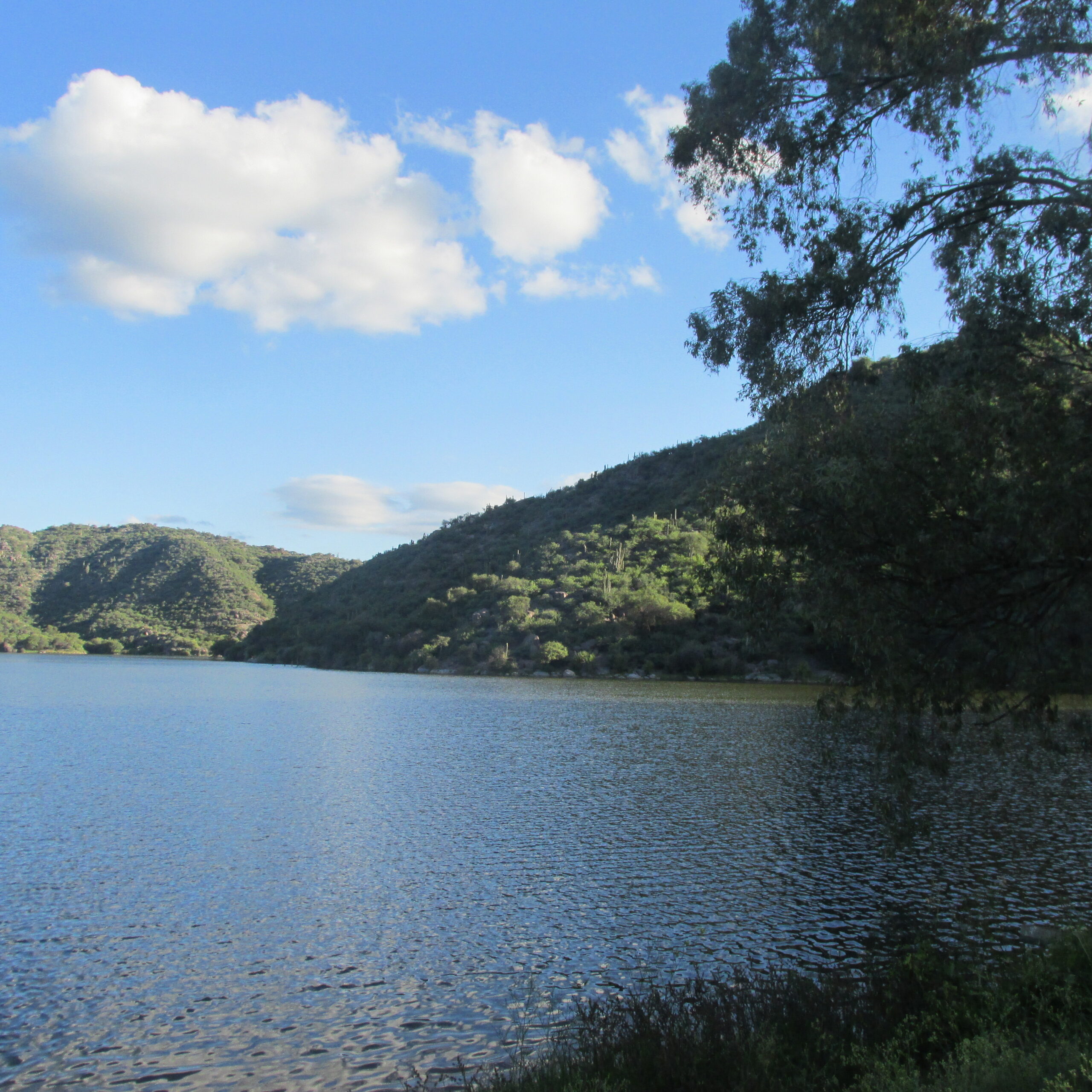 https://mdw-travel-data-us-east-1.s3.amazonaws.com/img/country/Argentina/Valle-Fertil/img_03.jpg