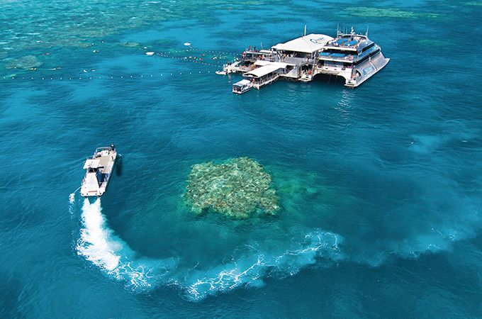 https://mdw-travel-data-us-east-1.s3.amazonaws.com/img/country/Australia/Agincourt-Reef/img_02.jpg