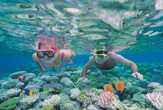 https://mdw-travel-data-us-east-1.s3.amazonaws.com/img/country/Australia/Agincourt-Reef/img_03.jpg