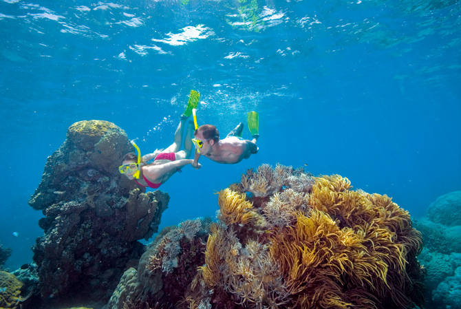 https://mdw-travel-data-us-east-1.s3.amazonaws.com/img/country/Australia/Agincourt-Reef/img_04.jpg