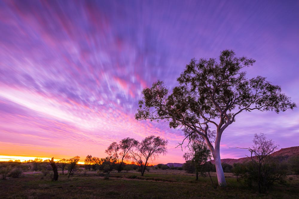 https://mdw-travel-data-us-east-1.s3.amazonaws.com/img/country/Australia/Alice-Springs-Desert-Park/img_03.jpg