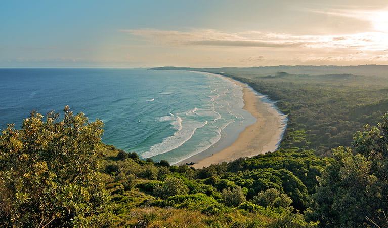 https://mdw-travel-data-us-east-1.s3.amazonaws.com/img/country/Australia/Arakwal-National-Park/img_01.jpg