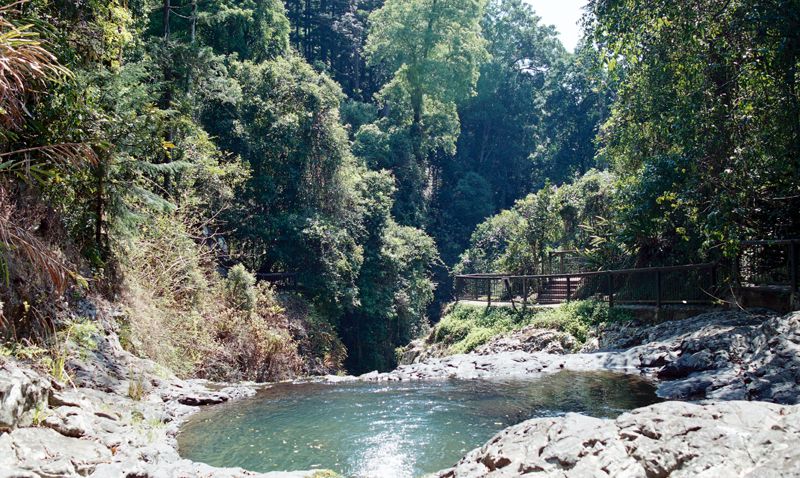 https://mdw-travel-data-us-east-1.s3.amazonaws.com/img/country/Australia/Arakwal-National-Park/img_02.jpg