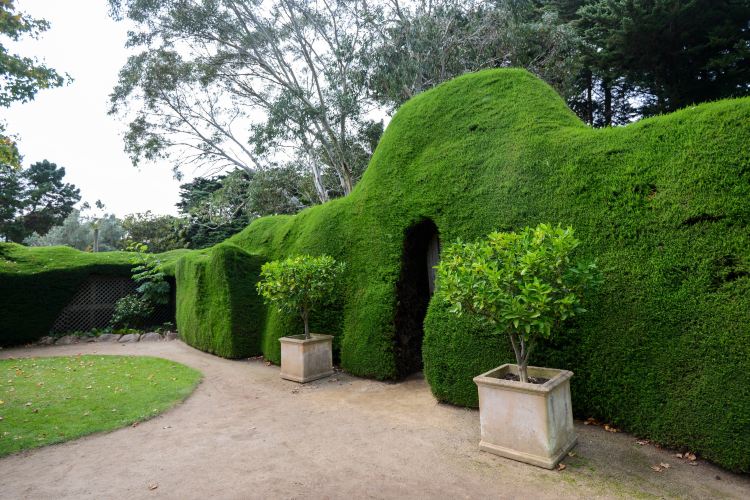 https://mdw-travel-data-us-east-1.s3.amazonaws.com/img/country/Australia/Ashcombe-Maze-&-Lavender-Gardens/img_03.jpg