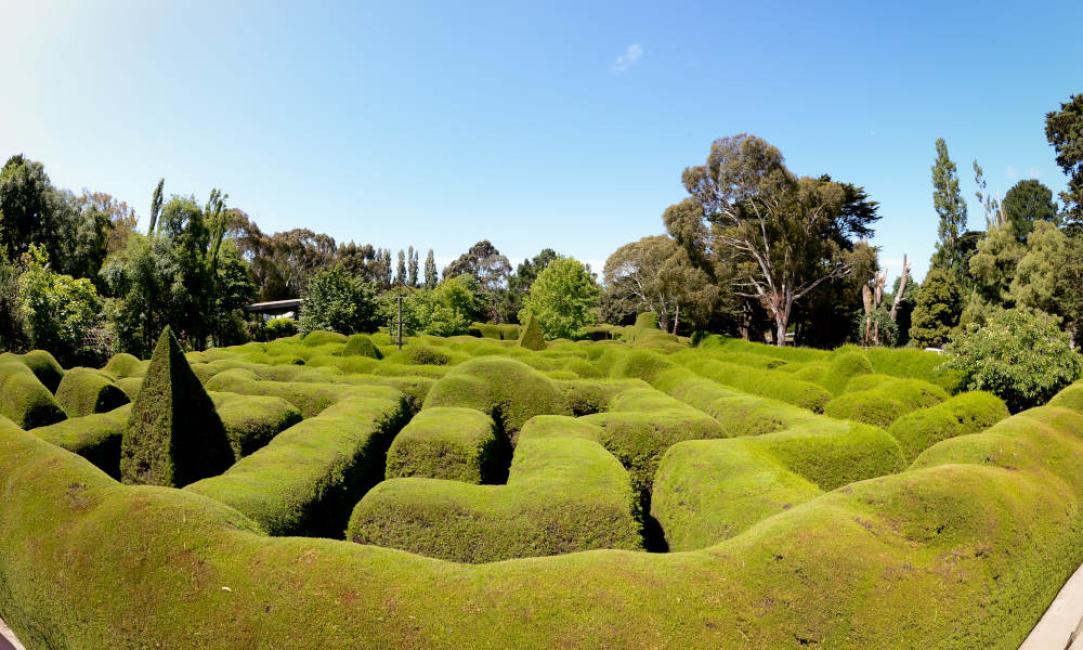 https://mdw-travel-data-us-east-1.s3.amazonaws.com/img/country/Australia/Ashcombe-Maze-and-Lavender-Gardens/img_01.jpg