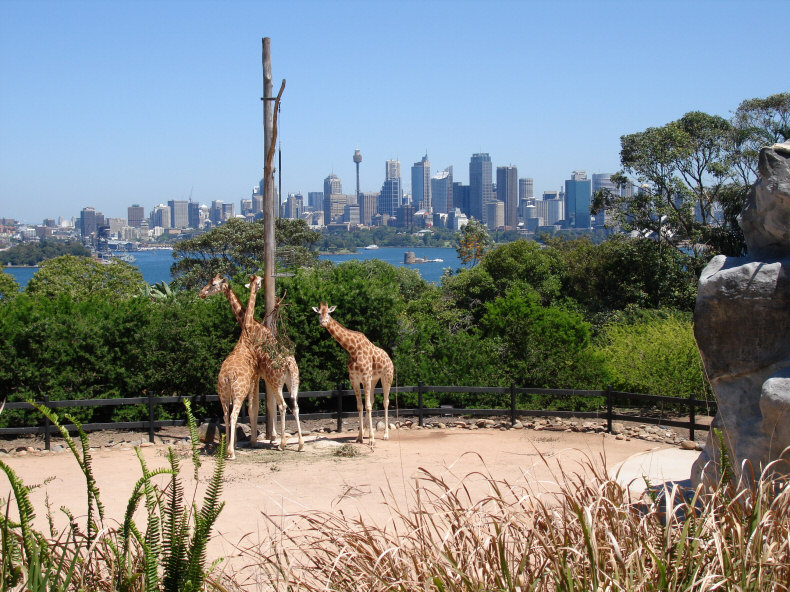 https://mdw-travel-data-us-east-1.s3.amazonaws.com/img/country/Australia/Australia-Zoo/img_01.jpg