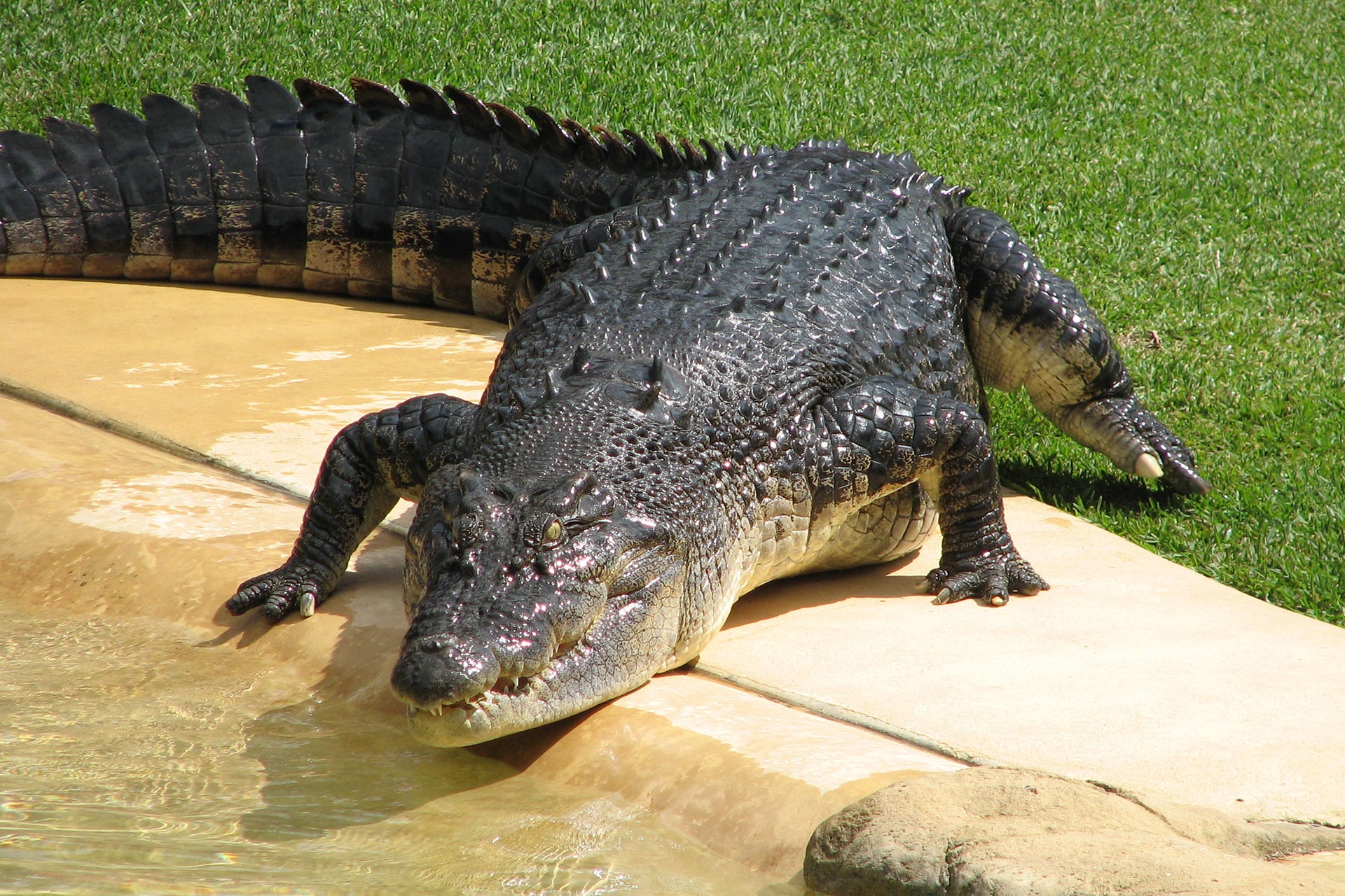 https://mdw-travel-data-us-east-1.s3.amazonaws.com/img/country/Australia/Australia-Zoo/img_03.jpg