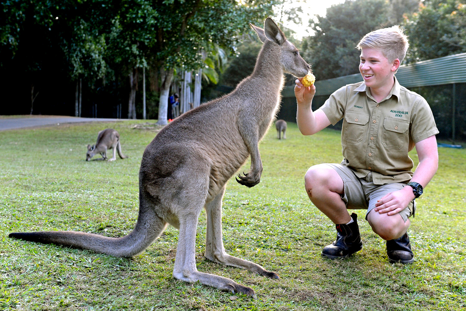 https://mdw-travel-data-us-east-1.s3.amazonaws.com/img/country/Australia/Australia-Zoo/img_05.jpg