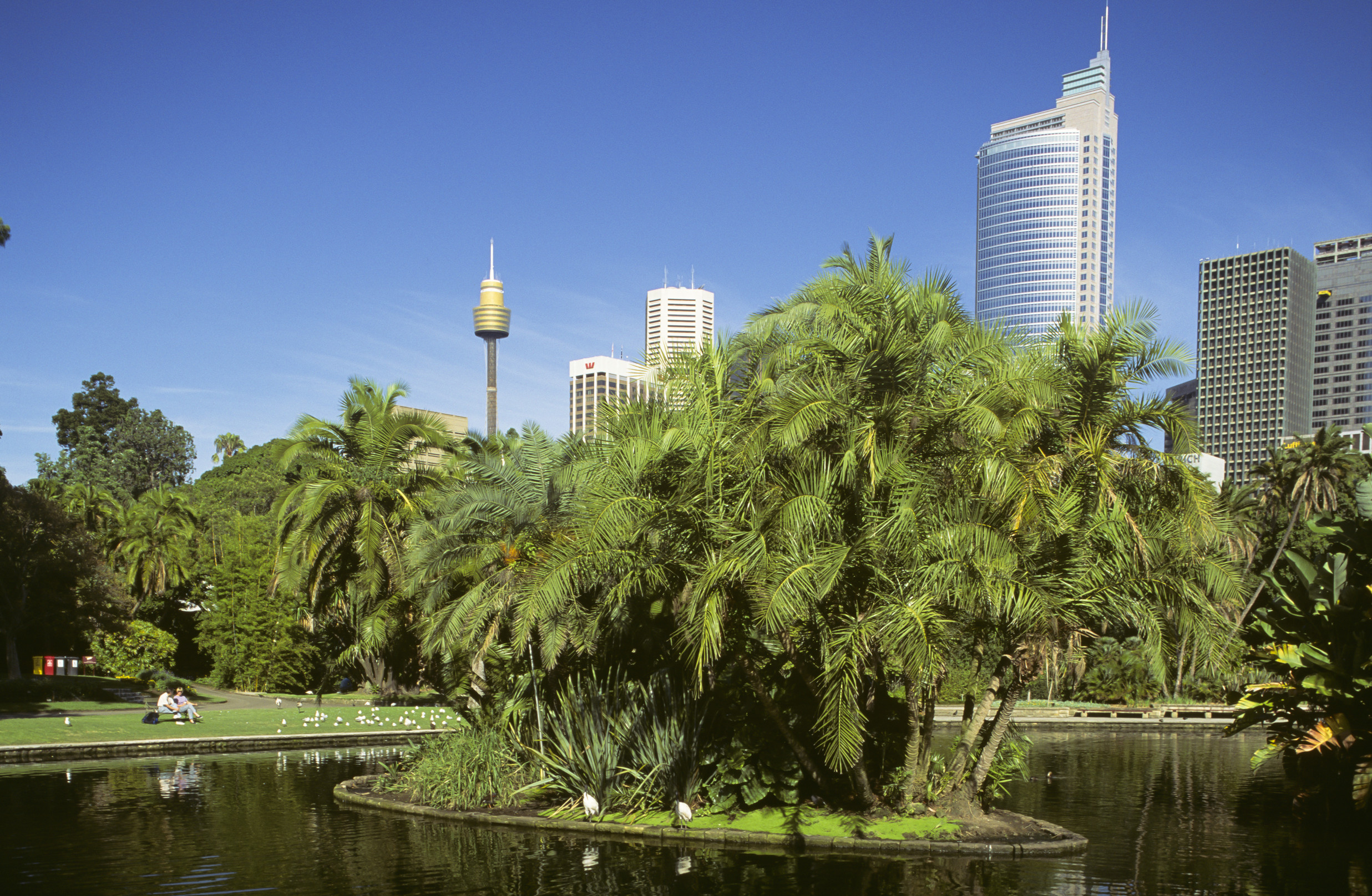 https://mdw-travel-data-us-east-1.s3.amazonaws.com/img/country/Australia/Australian-National-Botanic-Gardens/img_05.jpg