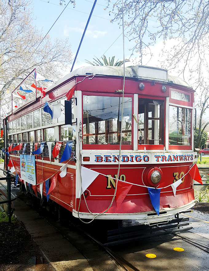 https://mdw-travel-data-us-east-1.s3.amazonaws.com/img/country/Australia/Bendigo-Talking-Tram/img_01.jpg