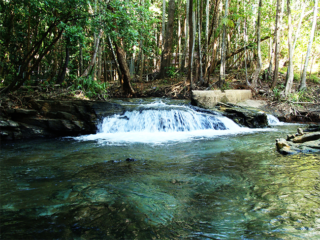 https://mdw-travel-data-us-east-1.s3.amazonaws.com/img/country/Australia/Berry-Springs-Nature-Park/img_05.jpg