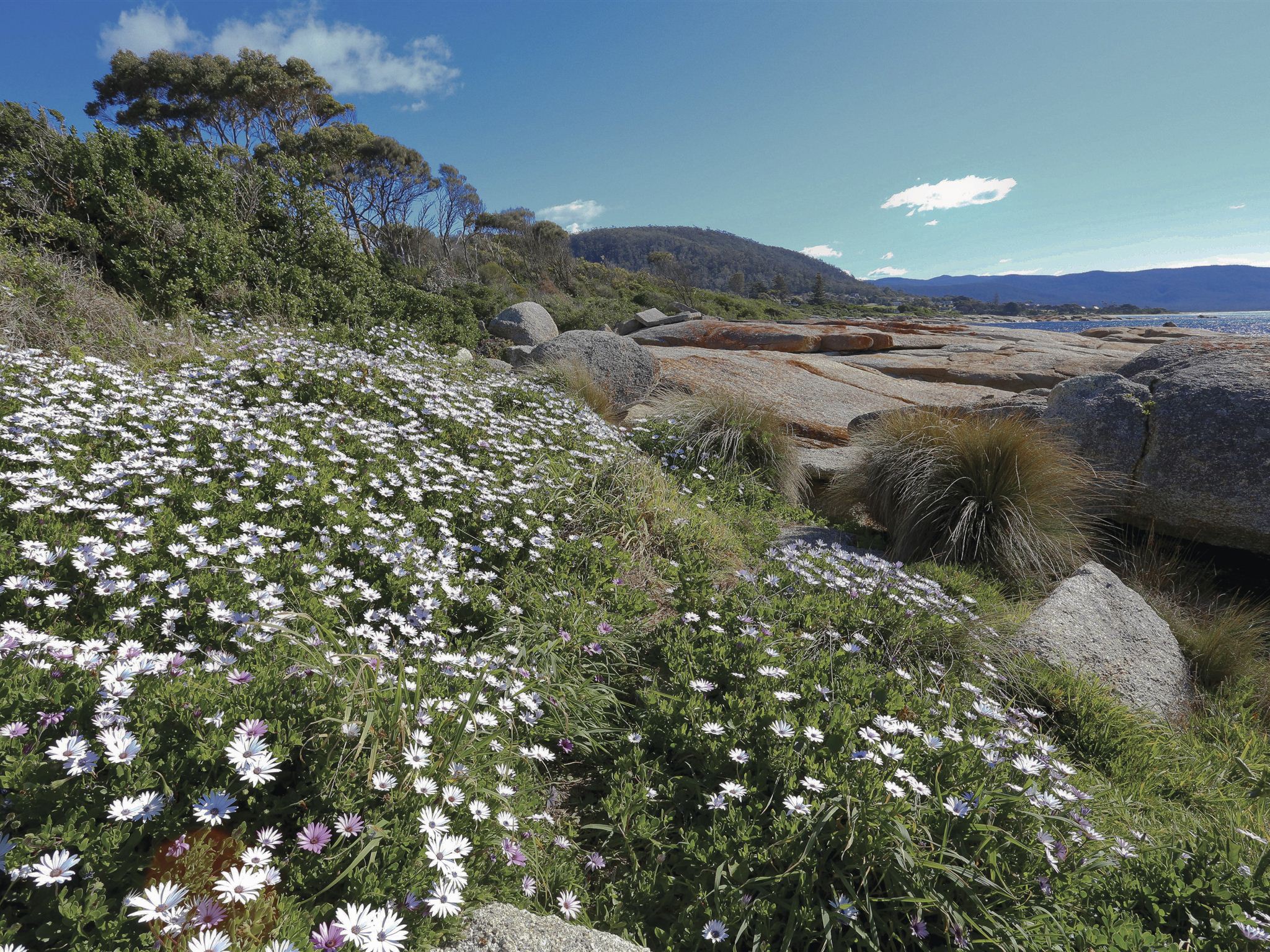 https://mdw-travel-data-us-east-1.s3.amazonaws.com/img/country/Australia/Bicheno-Penguin-Tours/img_03.jpg