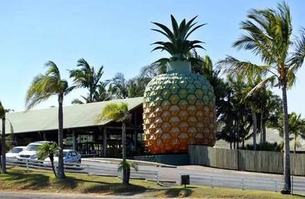https://mdw-travel-data-us-east-1.s3.amazonaws.com/img/country/Australia/Big-Pineapple/img_01.jpg