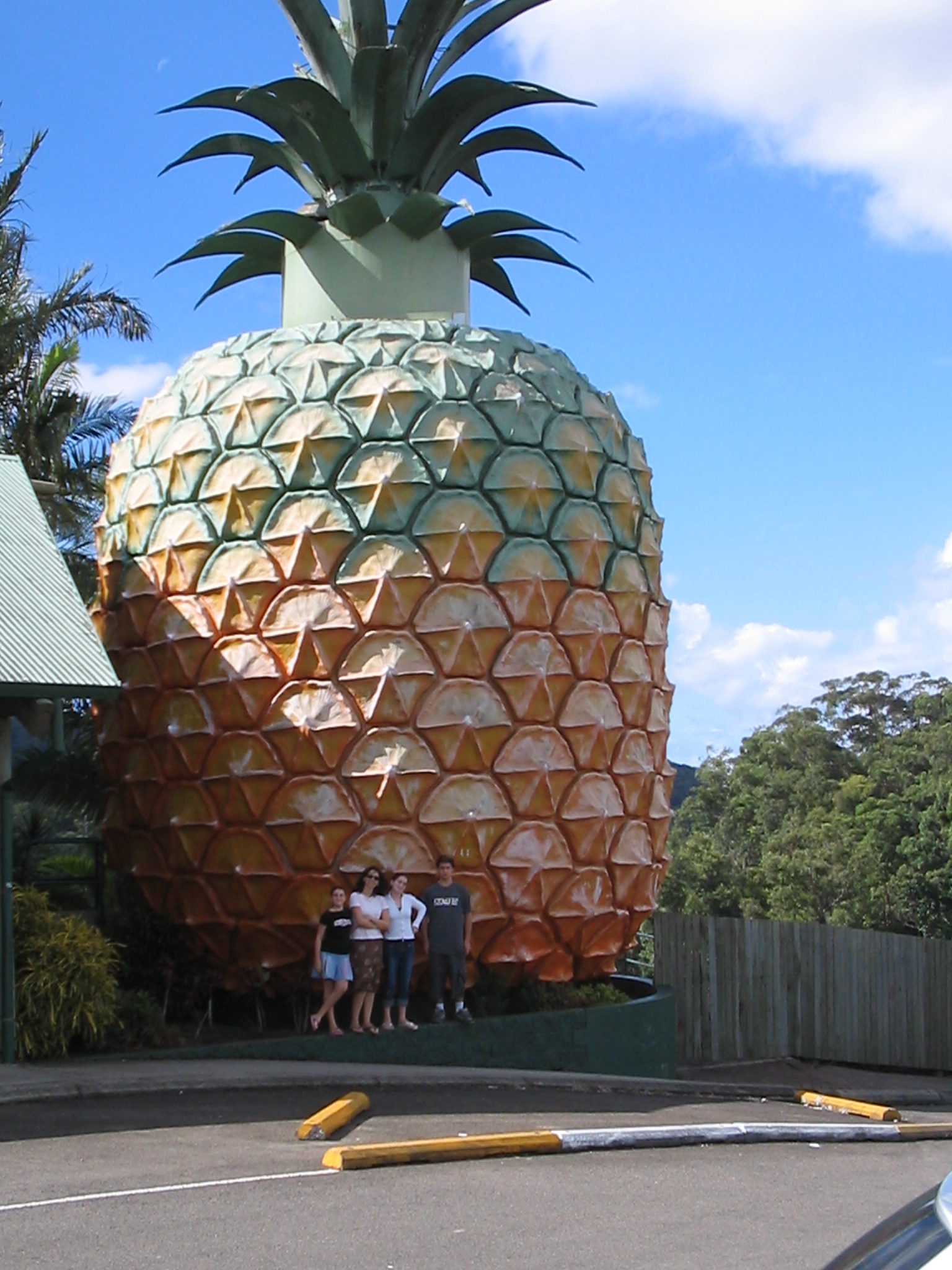 https://mdw-travel-data-us-east-1.s3.amazonaws.com/img/country/Australia/Big-Pineapple/img_02.jpg