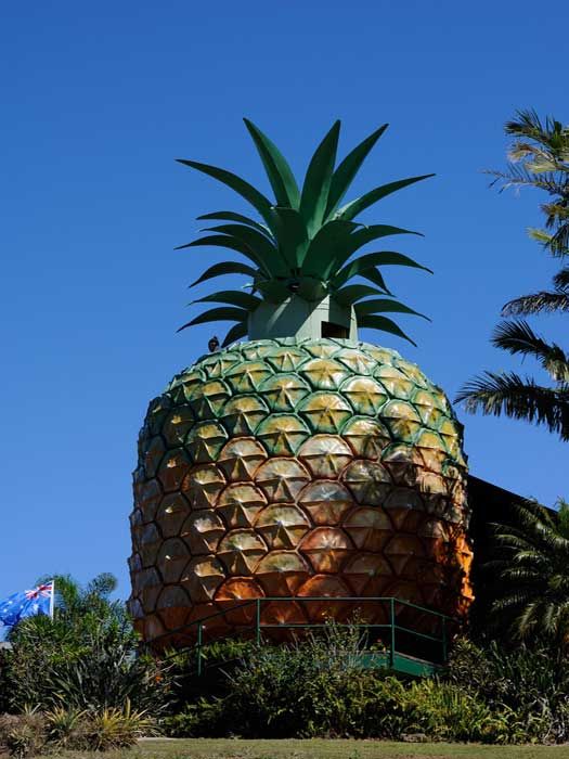 https://mdw-travel-data-us-east-1.s3.amazonaws.com/img/country/Australia/Big-Pineapple/img_03.jpg